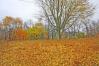 12622 Old Mansfield Road Mount Vernon Real Estate - Sam Miller Real Estate