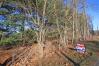14.153 Acres on Armentrout Road Mount Vernon Real Estate - Sam Miller Real Estate