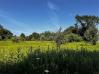 1.5 Acres McManis Road Mount Vernon MountVernonSchools - Sam Miller Real Estate