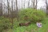 15.6 Acres on New Delaware Road Mount Vernon Real Estate - Sam Miller Real Estate