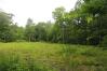 22 Acres on County Road 172 Mount Vernon Real Estate - Sam Miller Real Estate