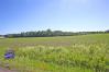 2.488 Acres on Lock and Croton Roads Mount Vernon Real Estate - Sam Miller Real Estate