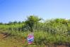 2.812 Acres on Reynolds Road Mount Vernon Real Estate - Sam Miller Real Estate
