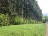 3.5 Acres on Shipley Road Mount Vernon Real Estate - Sam Miller Real Estate