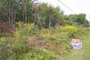 4.01 Acres-County Road 19 Mount Vernon Real Estate - Sam Miller Real Estate