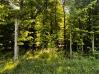 4.344 Acres on Feasel Road Mount Vernon Land For Sale In Knox County Ohio - Sam Miller Real Estate