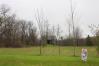 5 Acres on Liberty Chapel Road Mount Vernon Real Estate - Sam Miller Real Estate