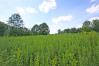 5.26 Acres on McVay Road Mount Vernon Real Estate - Sam Miller Real Estate