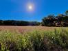 6.3 Acres Keck Road Mount Vernon Real Estate - Sam Miller Real Estate