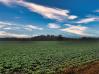 75.986 Acres Twp Road 114 Mount Vernon Knox County Ohio New Listings - Sam Miller Real Estate