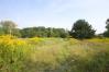 7747 County Road 201 Mount Vernon Real Estate - Sam Miller Real Estate