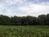 Armentrout Road Land Mount Vernon Real Estate - Sam Miller Real Estate