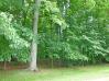 Lot 174 Apple Valley Mount Vernon Real Estate - Sam Miller Real Estate