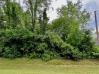 Lot 184 Grand Ridge Estates Mount Vernon Real Estate - Sam Miller Real Estate