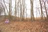 Lot 2 Beaver Road Mount Vernon Real Estate - Sam Miller Real Estate