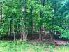 Lot 245 Green Valley Mount Vernon Real Estate - Sam Miller Real Estate