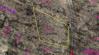 Lot 66 Fairway Hills Mount Vernon Real Estate - Sam Miller Real Estate