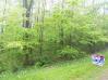 Lot 7 Woodridge Circle Mount Vernon Real Estate - Sam Miller Real Estate