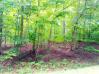 Lots 500 and 501 Highland Hills Mount Vernon Real Estate - Sam Miller Real Estate