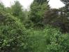 Vanwinkle Road - 7.12 Acres of Land Mount Vernon Real Estate - Sam Miller Real Estate